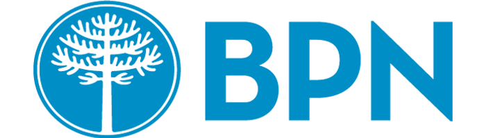 Banco BPN